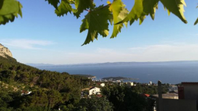 Apartment Rosemary 2 bedrooms ground floor+1.floor big terrace seaview